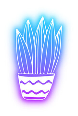 Set of Plant Pot neon