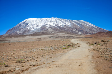 Fototapeta na wymiar Snow on top of Mount Kilimanjaro. Tanzania.