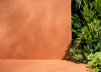 Minimal tropical podium with orange beige background and  green garden exposition. An empty summer background for product display. A scene for presentation of products as cosmetics or accessories. - obrazy, fototapety, plakaty