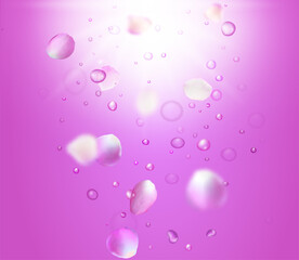 Pink shining backgroung with falling rose petals. Sakura flower parts and rose water drops.