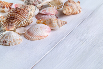 Fototapeta na wymiar Composition of seashells on a light wooden background. Summer minimal concept