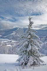 l'hiver dans les Vosges