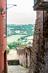 view from the window