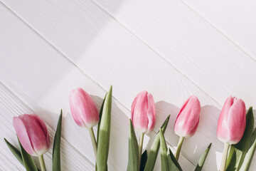 Pale pink delicate tulips on a white wooden background. Spring background with a bouquet of flowers. Top view