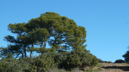 Paesaggio