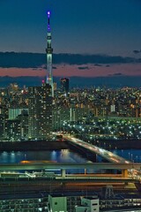 Naklejka premium 日本、東京の夜景