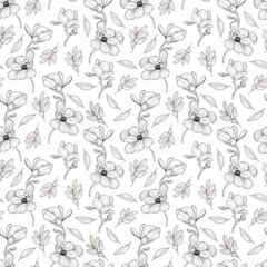 Background with flowers. Graphic flowers. Spring background. Seamless pattern with magnolia flowers. Magnolia Line art.