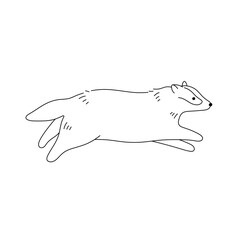 Vector isolated one single jumping running badger side view colorless black and white contour line easy drawing