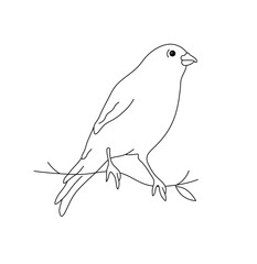Vector isolated one single cute little bird sitting on a branch twig colorless black and white contour line easy drawing