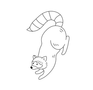 Vector isolated one single cute cartoon funny crawling raccoon with long striped tail colorless black and white contour line easy drawing