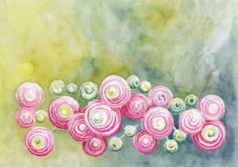 Softness floral landscape with many Pink Ranunculus flowers on textured spotted green and yellow background. Artistic background. Watercolor and oil pastel painting  on textured paper. - 575995313