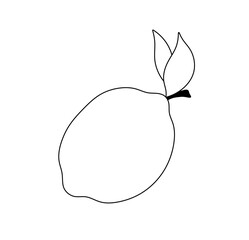 Vector isolated one single simplest lemon with two leaves colorless black and white contour line easy drawing