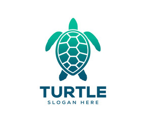Obraz premium Turtle icon logo design. Turtle gradient colorful style vector logo illustration