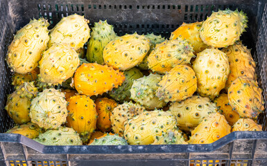 Closeup of a kiwano box in a market stall.
