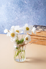 Anemones flower bouquet with old books still life composition for spring, for Mother's Day or March 8