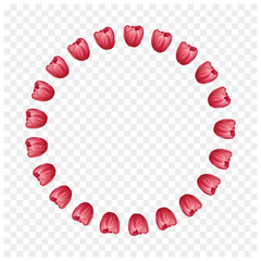 Obraz premium Red Tulip Flower Circle Frame