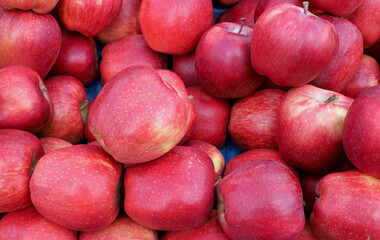 organic and fresh red apples at the market