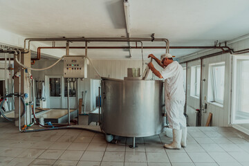 Man mixing milk in the stainless tank during the fermentation process at the cheese manufacturing