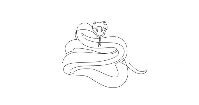 Animation of an image drawn with a continuous line. A snake in an attacking position.