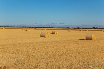 view of a crop field in Spain