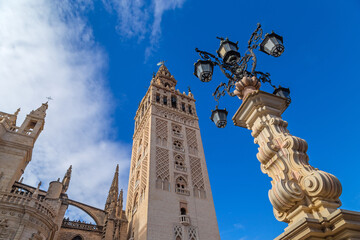 Naklejka premium Giralda tower in Seville cathedral