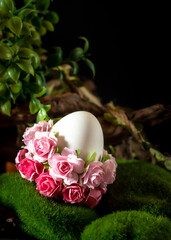 Easter egg with pink roses on green moss. Dark background.