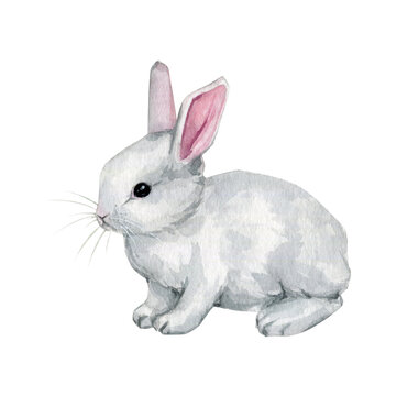 Watercolor cute easter bunny illustration clip art