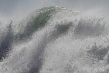 Big breaking sea wave
