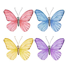 Watercolor cute pink butterfly illustration clip art