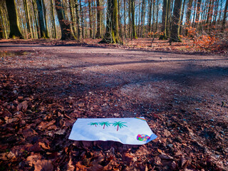 Childhood dreams of a warm place