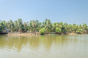 Backwaters of Kemmanu delta