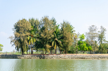 Backwaters of Kemmanu delta