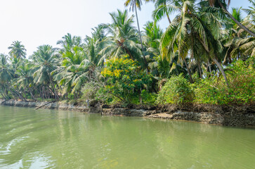 Obraz premium Backwaters of Kemmanu delta