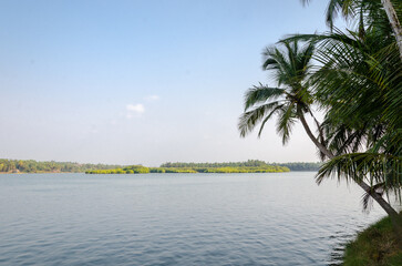 Obraz premium Backwaters of Kemmanu delta