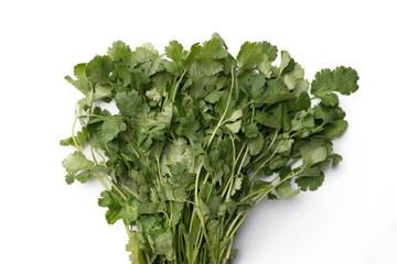 Fototapeta premium Close up bunch of cilantro isolated on white background