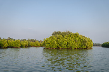 Backwaters of Kemmanu delta