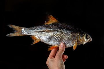Salted dried perch fish. Fish appetizer for beer