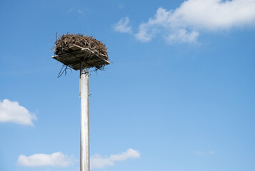 Stork's nest on a pole. Clear blue sky in the background.
