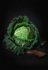 Fresh and raw green cabbage on a dark background. Still life with vegetables.