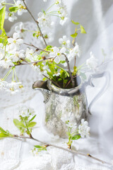 Flowering white blossoms of cherry in branch  with green leaves in silver colored vase on white lace napkin background in springtime