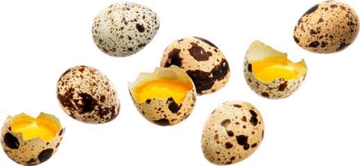 Quail eggs isolated on white