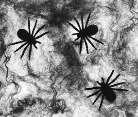 halloween black cobweb with spiders on white background