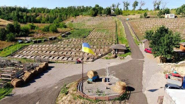 Live camera panning at beautiful landscape on snail farm outdoors. Wooden decks for breeding on sunny spring summer day wide shot
