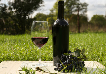 Red wine and delicious grapes served on green grass in park