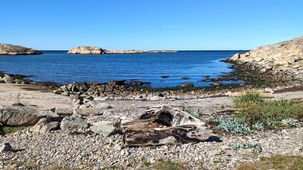 Fototapeta na wymiar Old log at rocky beach with island close by
