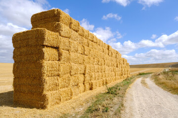 Large stack of hay bales in large field. - 576034722