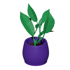 Green plant in lilac pot isolated on white background. 3d rendering   