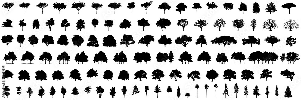 Poster silhouette tree line drawing set, Side view, set of graphics trees elements outline symbol for architecture and landscape design drawing. Vector illustration in stroke fill in white. Tropical