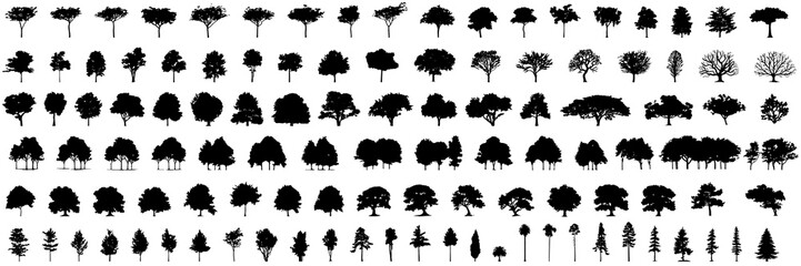 silhouette tree line drawing set, Side view, set of graphics trees elements outline symbol for architecture and landscape design drawing. Vector illustration in stroke fill in white. Tropical - obrazy, fototapety, plakaty