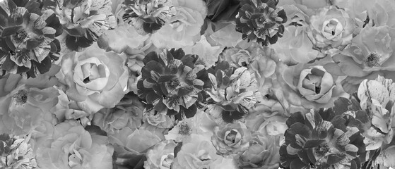 texture black and white rose flowers background, background, nature, card, decor, fashion, copy space